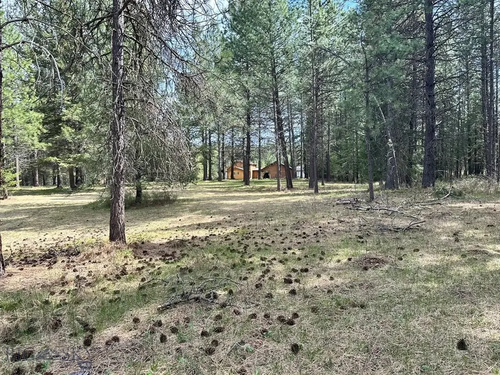Trout Creek MT 59874