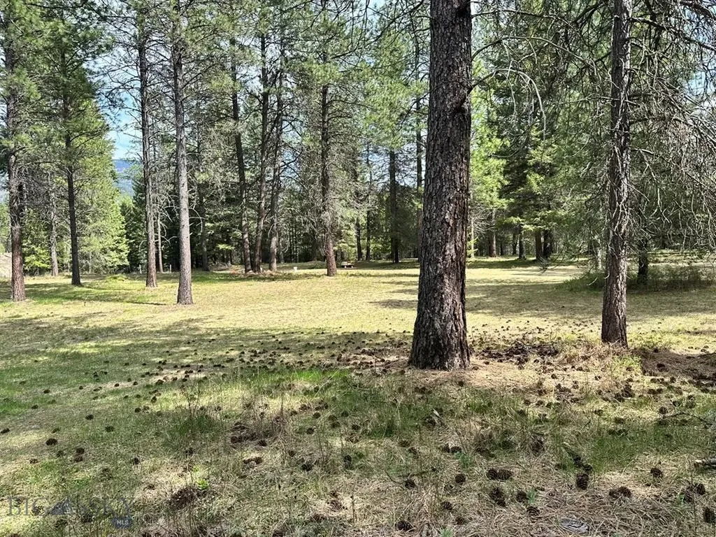 Trout Creek MT 59874
