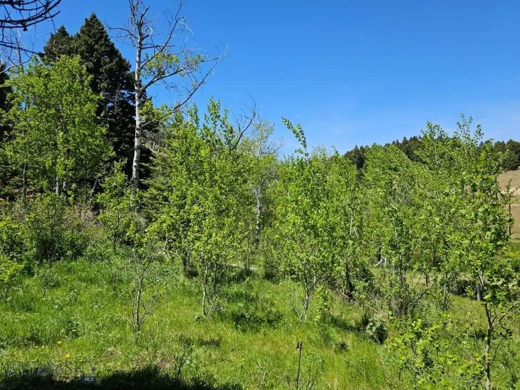 Tbd Corbin Road Jefferson City MT 59638