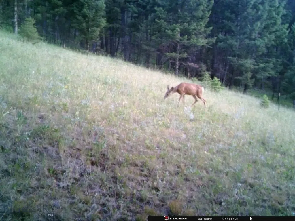 Tbd Corbin Road Jefferson City MT 59638