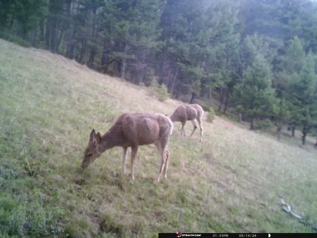 Tbd Corbin Road Jefferson City MT 59638