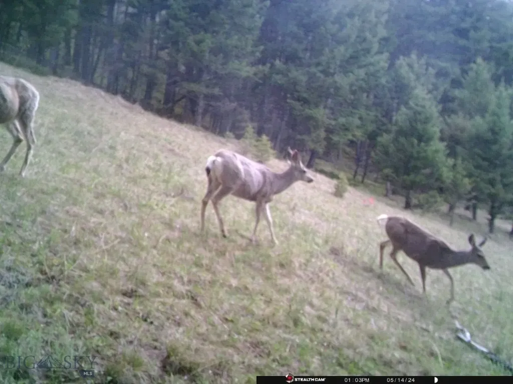 Tbd Corbin Road Jefferson City MT 59638