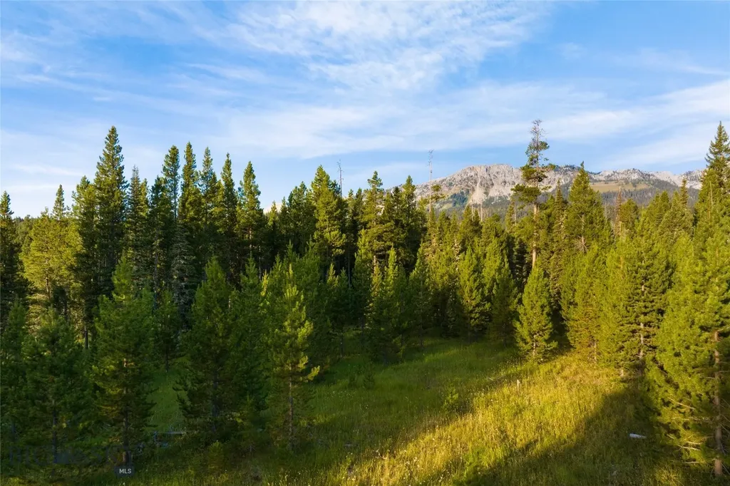107 Winter Lane Bozeman MT 59715