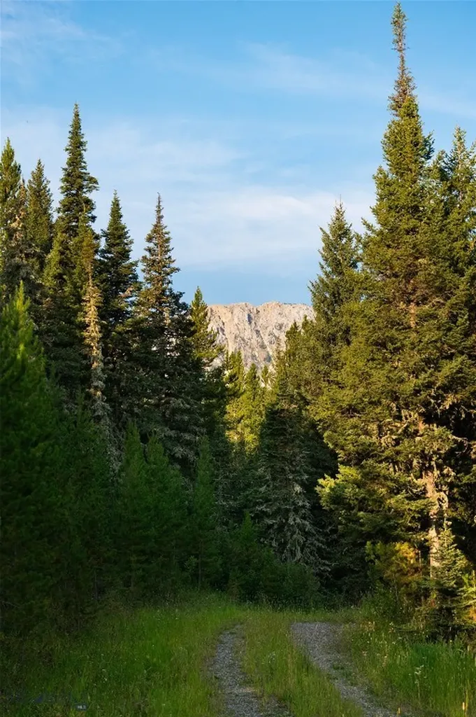 107 Winter Lane Bozeman MT 59715
