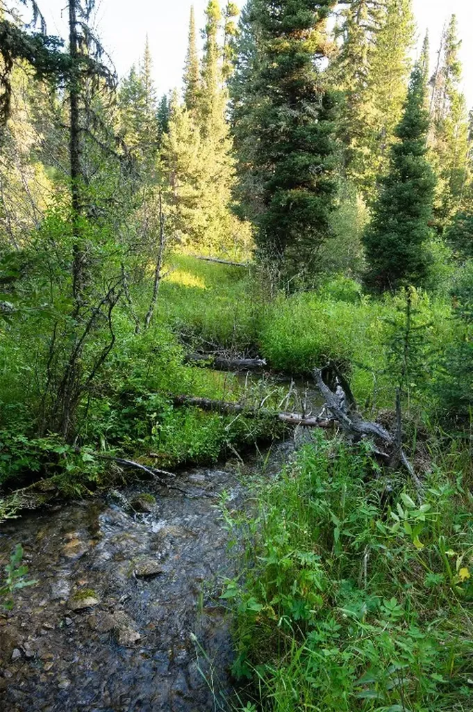 107 Winter Lane Bozeman MT 59715