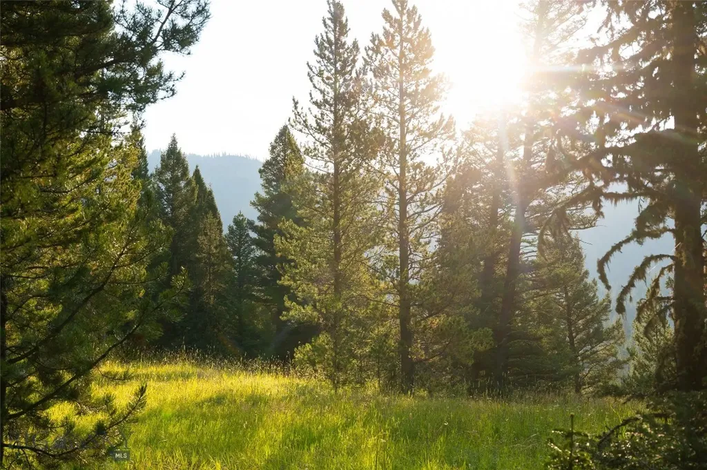 107 Winter Lane Bozeman MT 59715