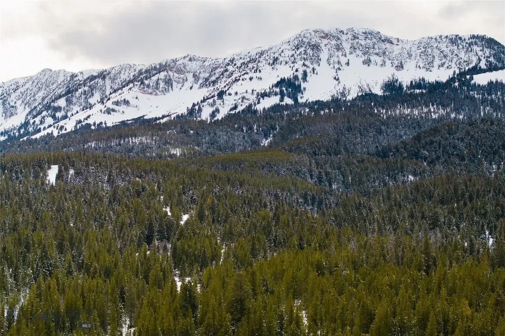 107 Winter Lane Bozeman MT 59715
