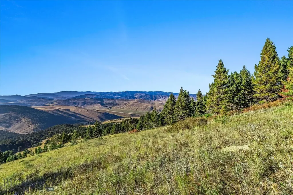 Nhn Coyote (lot 69) Drive Livingston MT 59047
