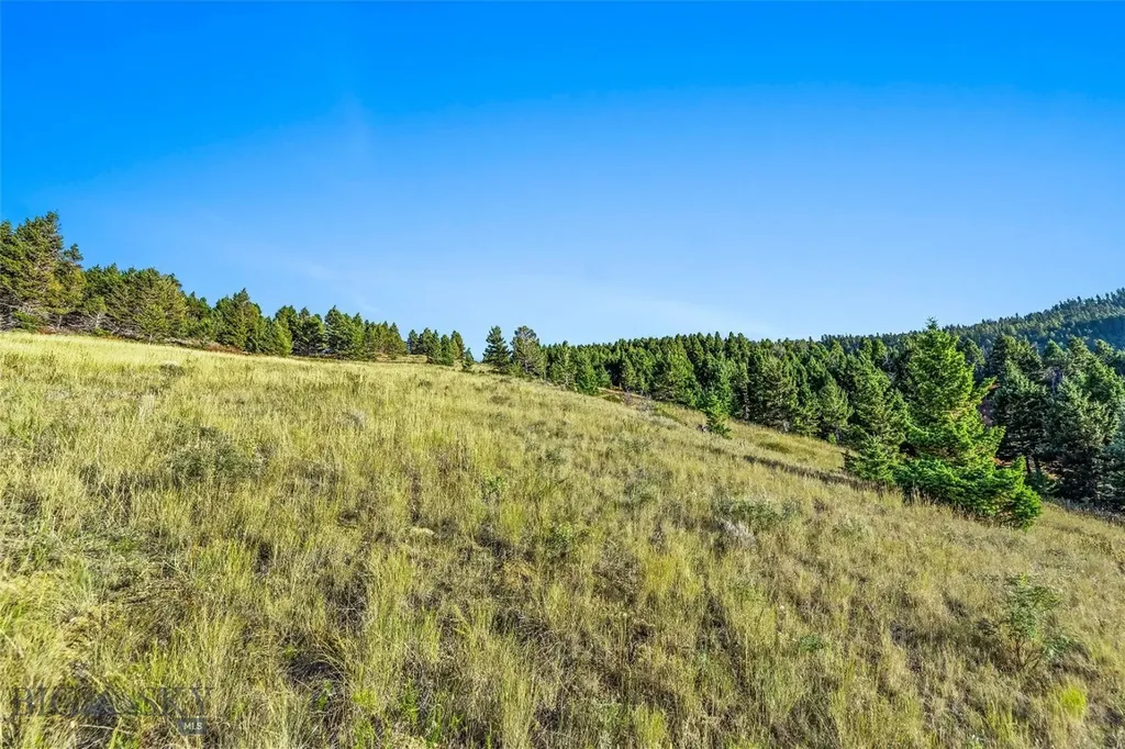 Nhn Coyote (lot 69) Drive Livingston MT 59047