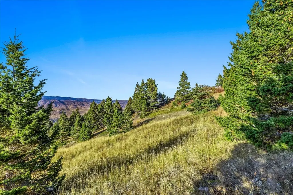Nhn Coyote (lot 69) Drive Livingston MT 59047