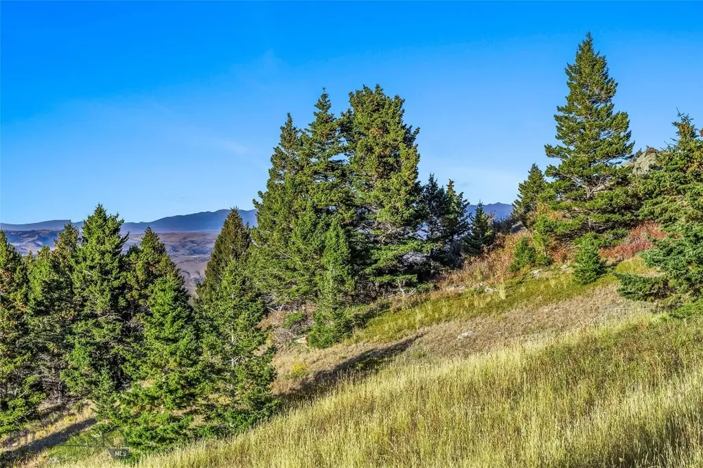 Nhn Coyote (lot 69) Drive Livingston MT 59047