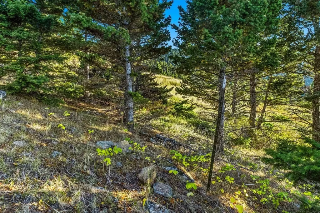 Nhn Coyote (lot 69) Drive Livingston MT 59047
