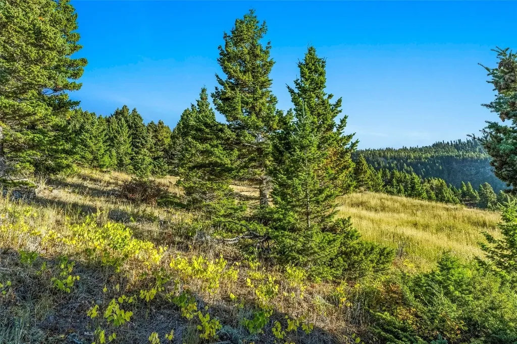 Nhn Coyote (lot 69) Drive Livingston MT 59047