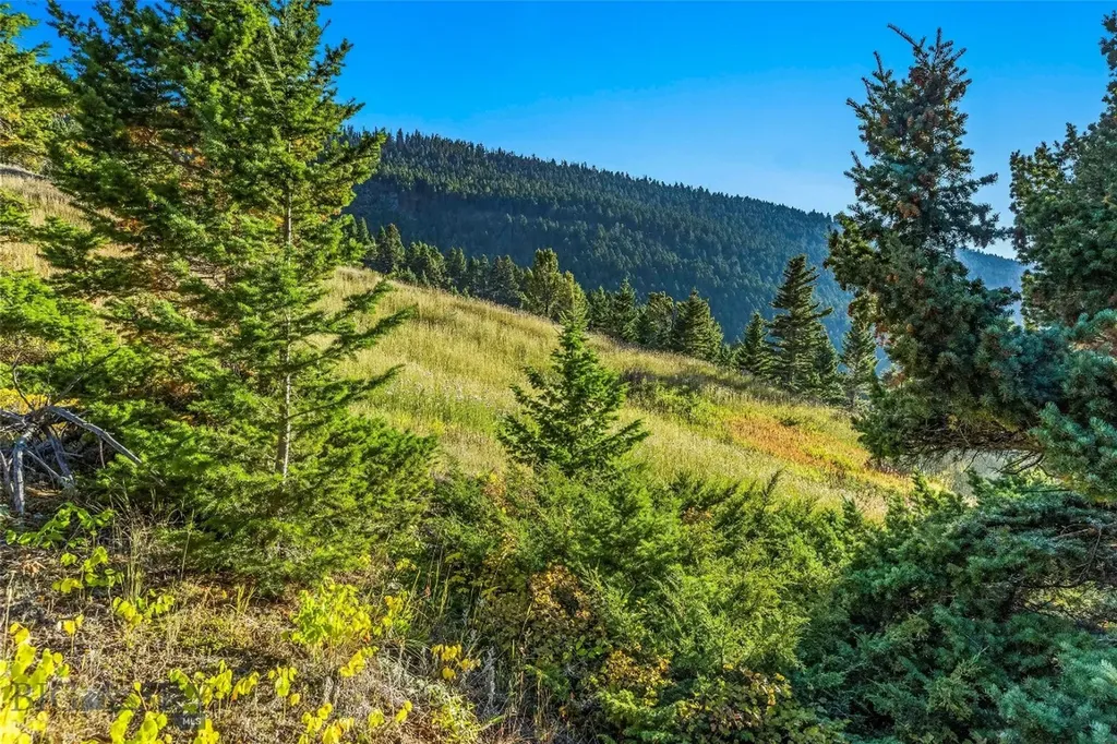 Nhn Coyote (lot 69) Drive Livingston MT 59047