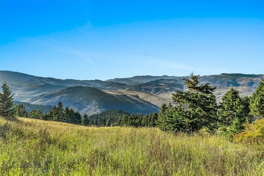 Nhn Coyote (lot 69) Drive Livingston MT 59047