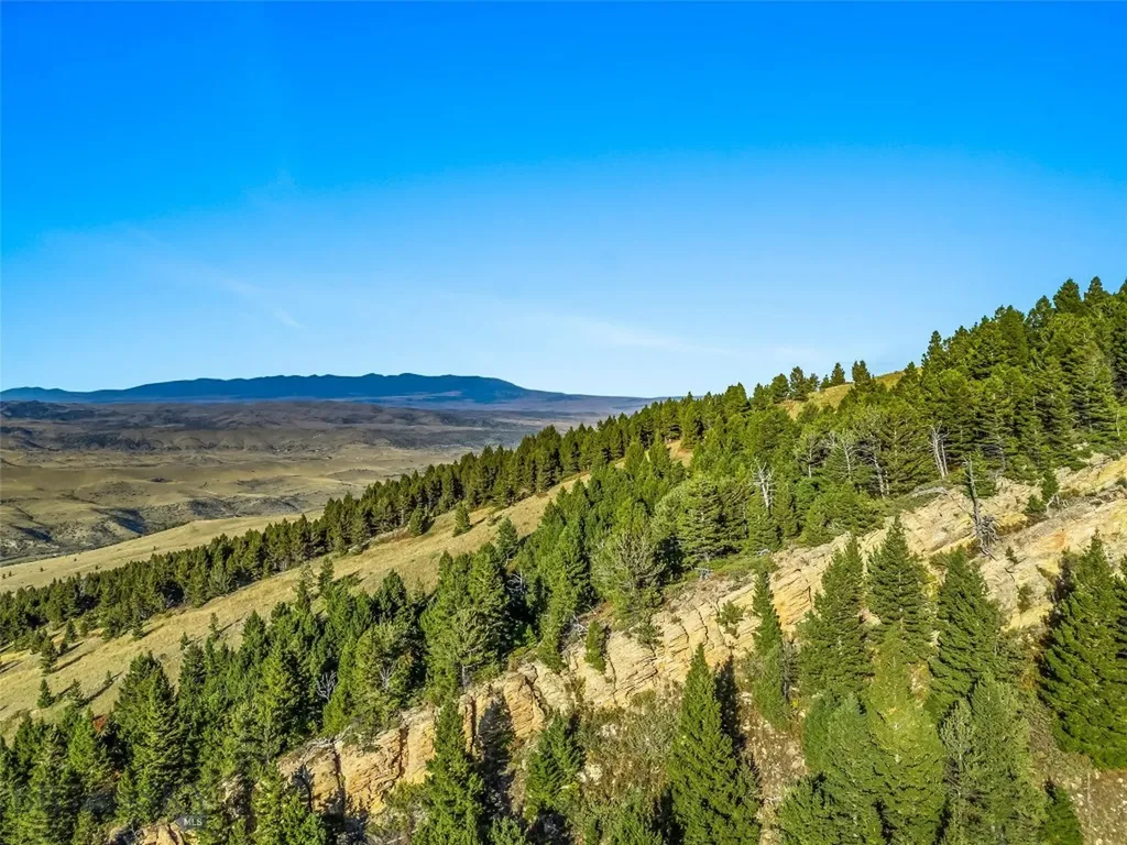 Nhn Coyote (lot 69) Drive Livingston MT 59047