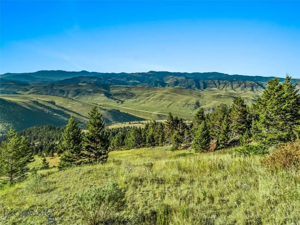 Nhn Coyote (lot 69) Drive Livingston MT 59047