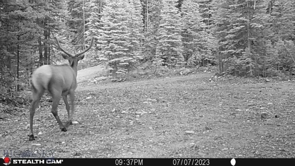 7 South Boulder Road Cardwell MT 59721