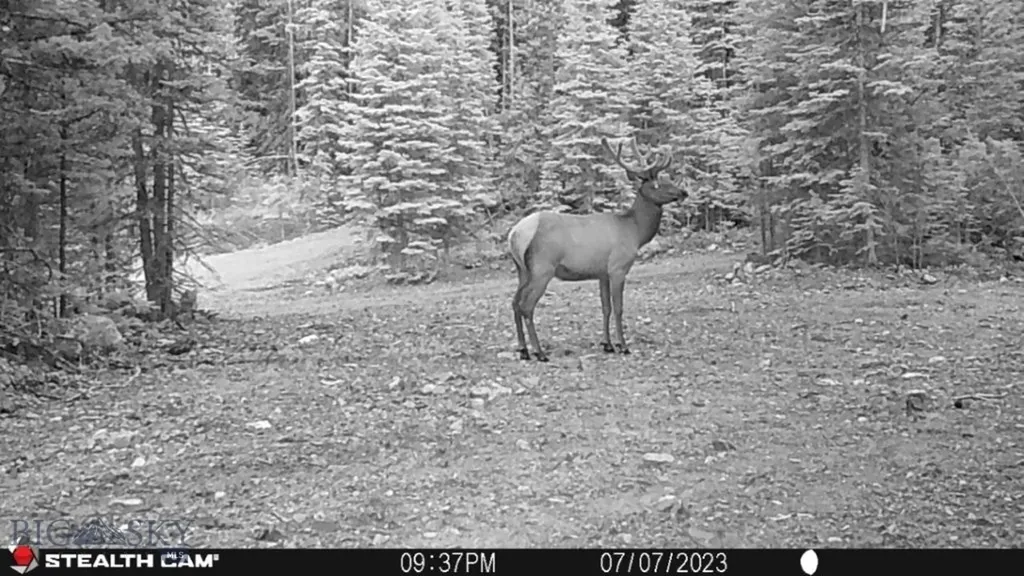 7 South Boulder Road Cardwell MT 59721