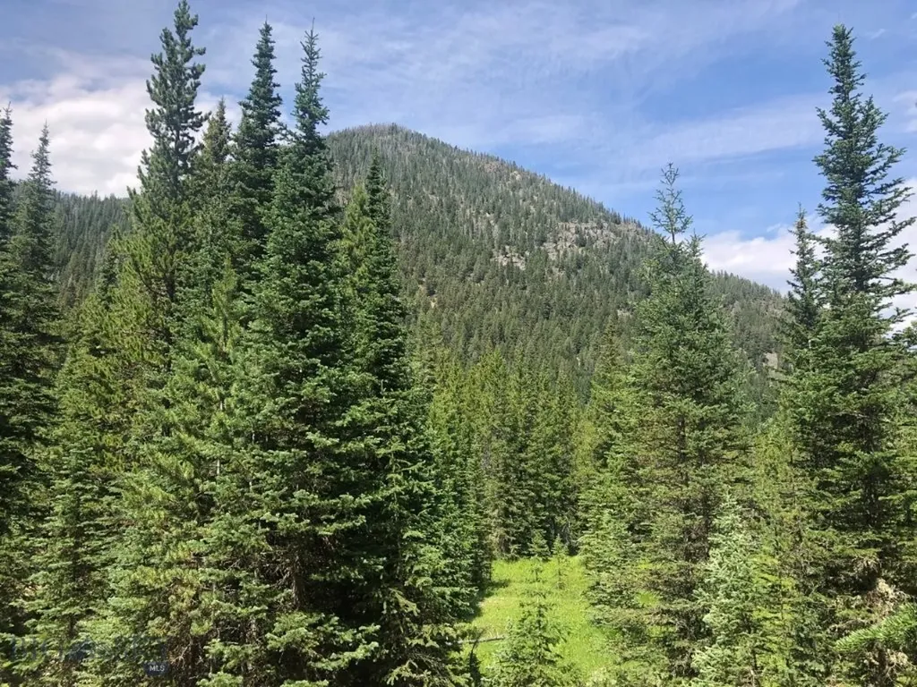 7 South Boulder Road Cardwell MT 59721