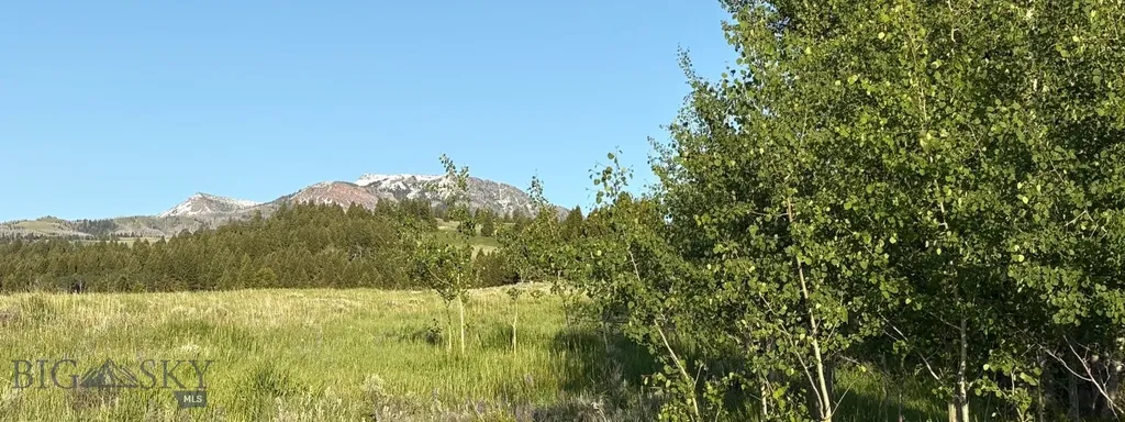Tbd South Valley Road Dell MT 59724