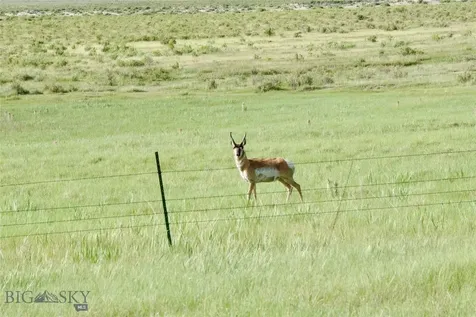 TBD South Valley Road Dell MT 59724