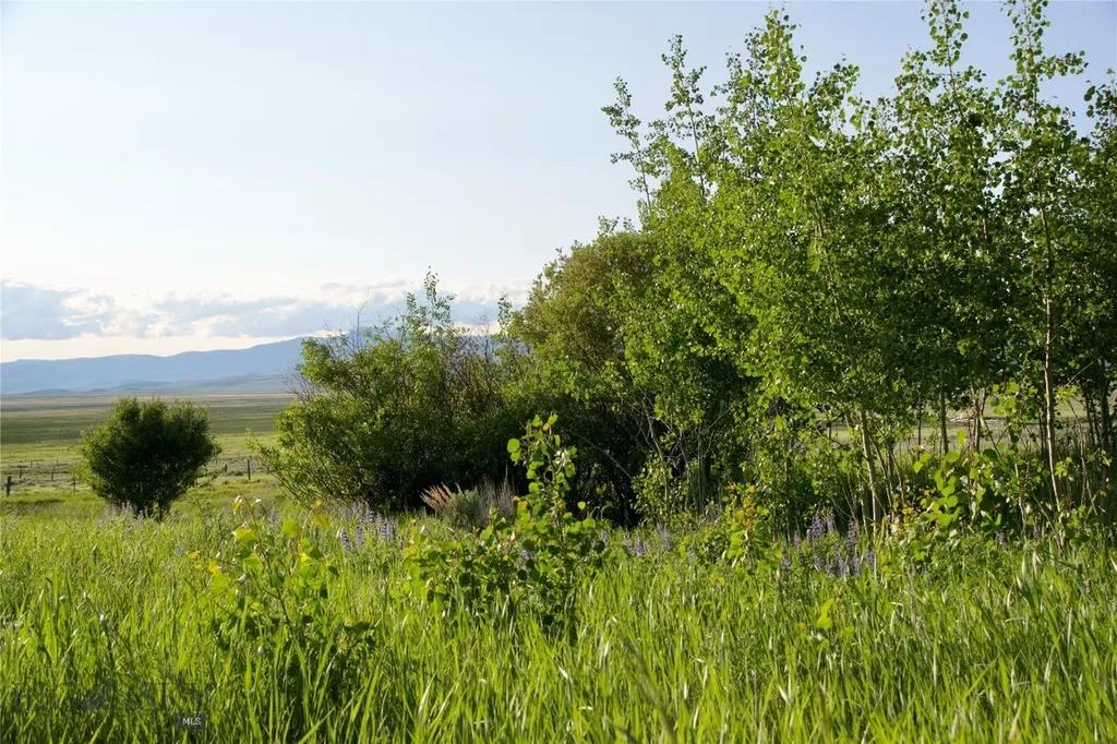 Tbd South Valley Road Dell MT 59724