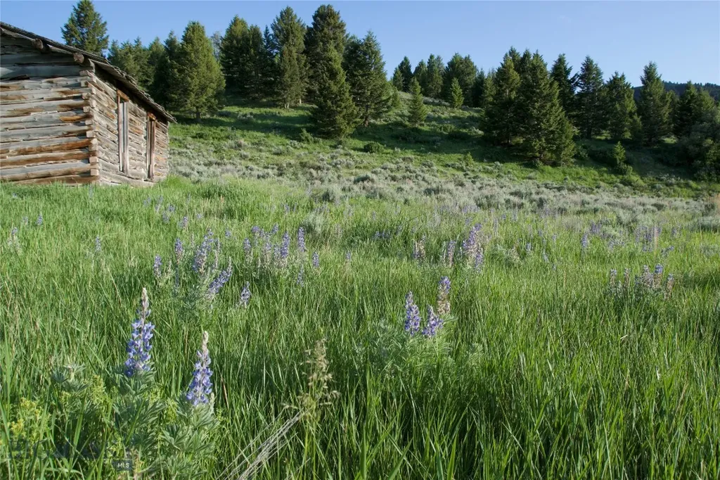 Tbd South Valley Road Dell MT 59724