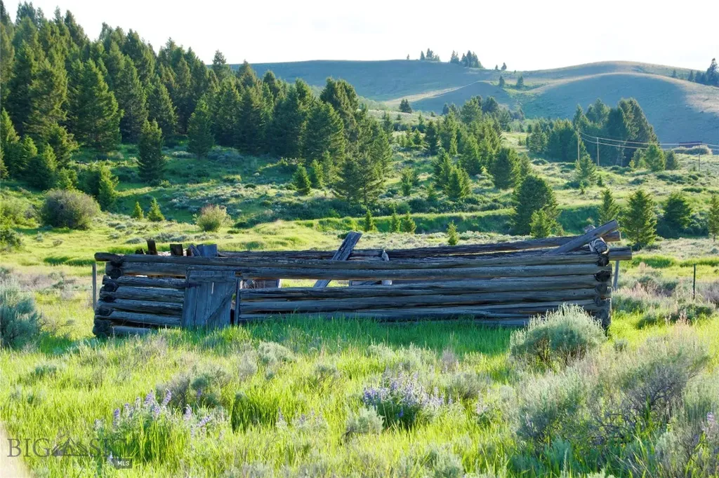 Tbd South Valley Road Dell MT 59724