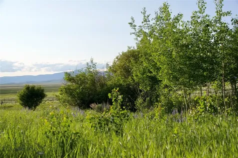 TBD South Valley Road Dell MT 59724