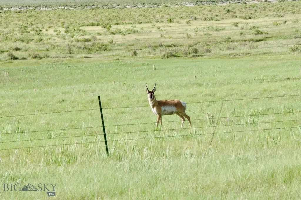 Tbd South Valley Road Dell MT 59724