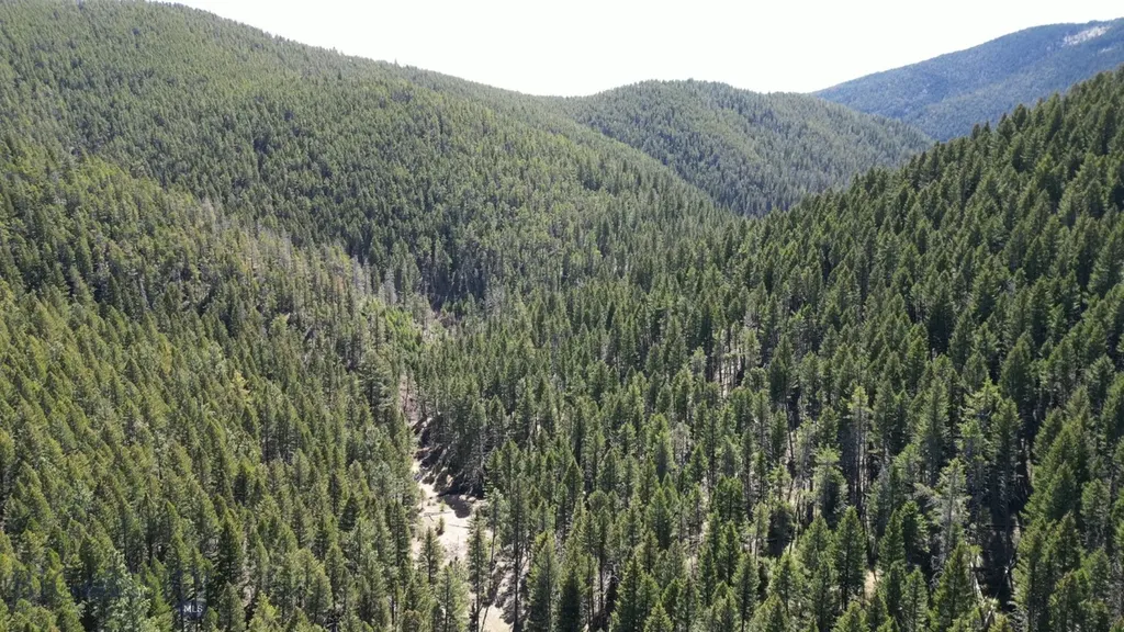 Parcel B Maiden Road Lewistown MT 59457