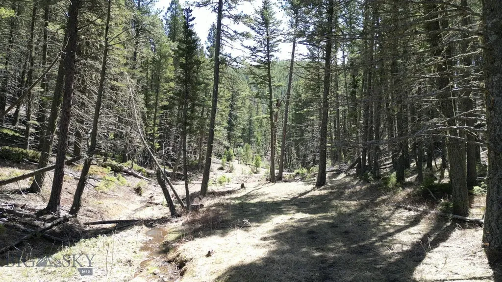 Parcel B Maiden Road Lewistown MT 59457