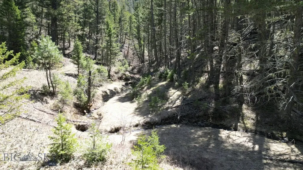 Parcel B Maiden Road Lewistown MT 59457