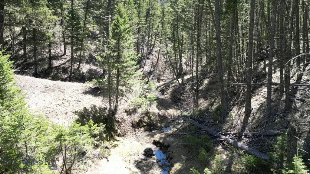 Parcel B Maiden Road Lewistown MT 59457