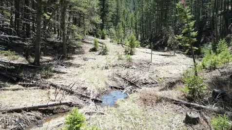 Parcel B Maiden Road Lewistown MT 59457