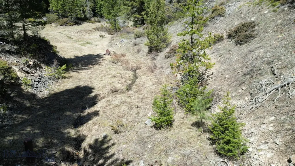 Parcel C Maiden Road Lewistown MT 59457