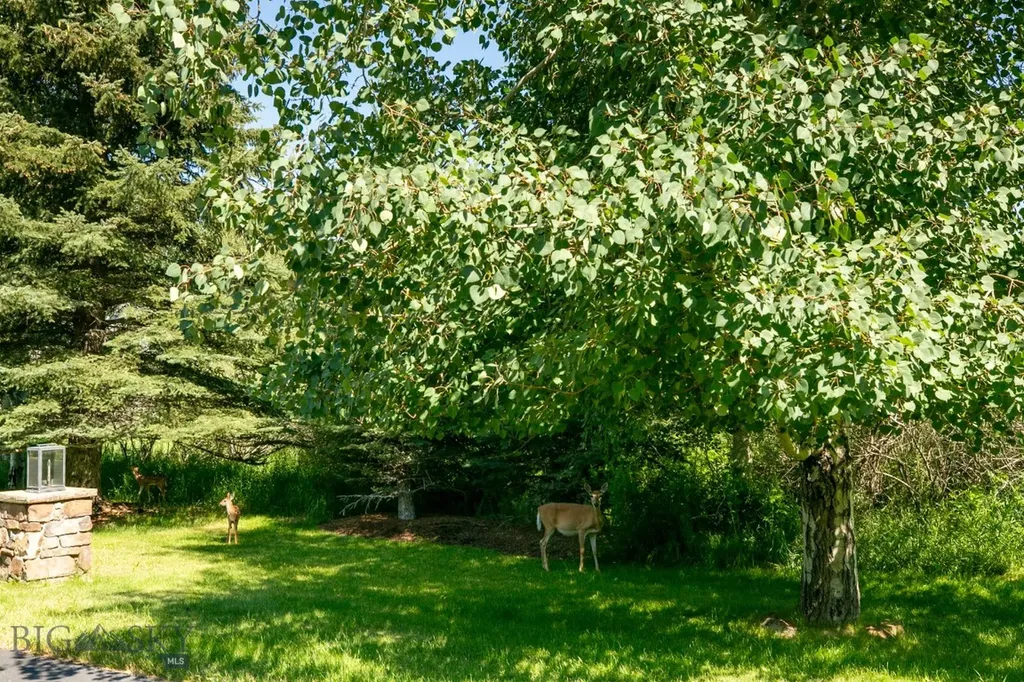 30 Gardner Park Bozeman MT 59715