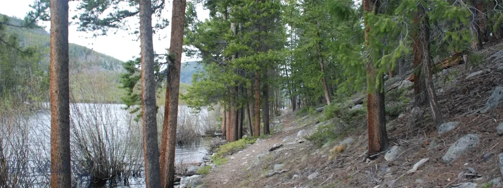 6800 Mussigbrod Lake Road Wisdom MT 59761