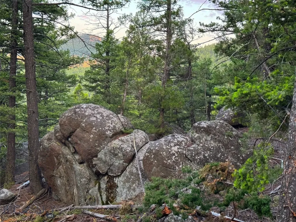 Nhn Quintana Lane Boulder MT 59632
