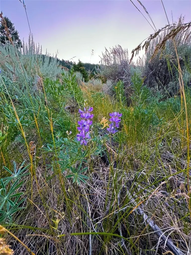 Nhn Quintana Lane Boulder MT 59632