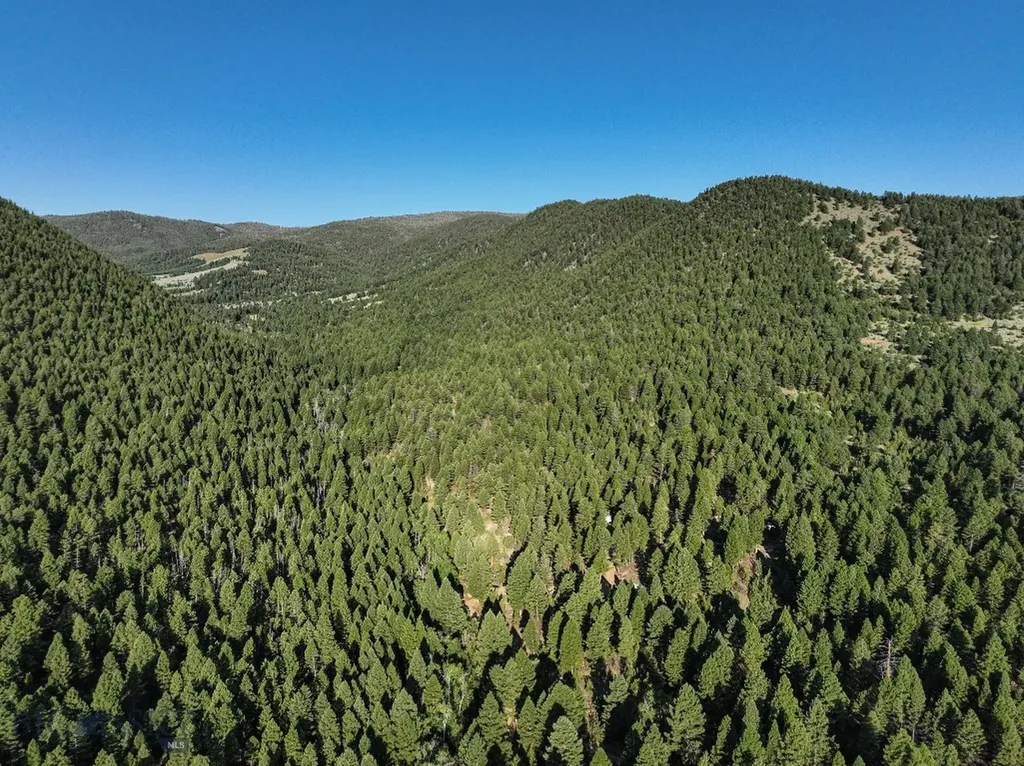 Nhn Quintana Lane Boulder MT 59632