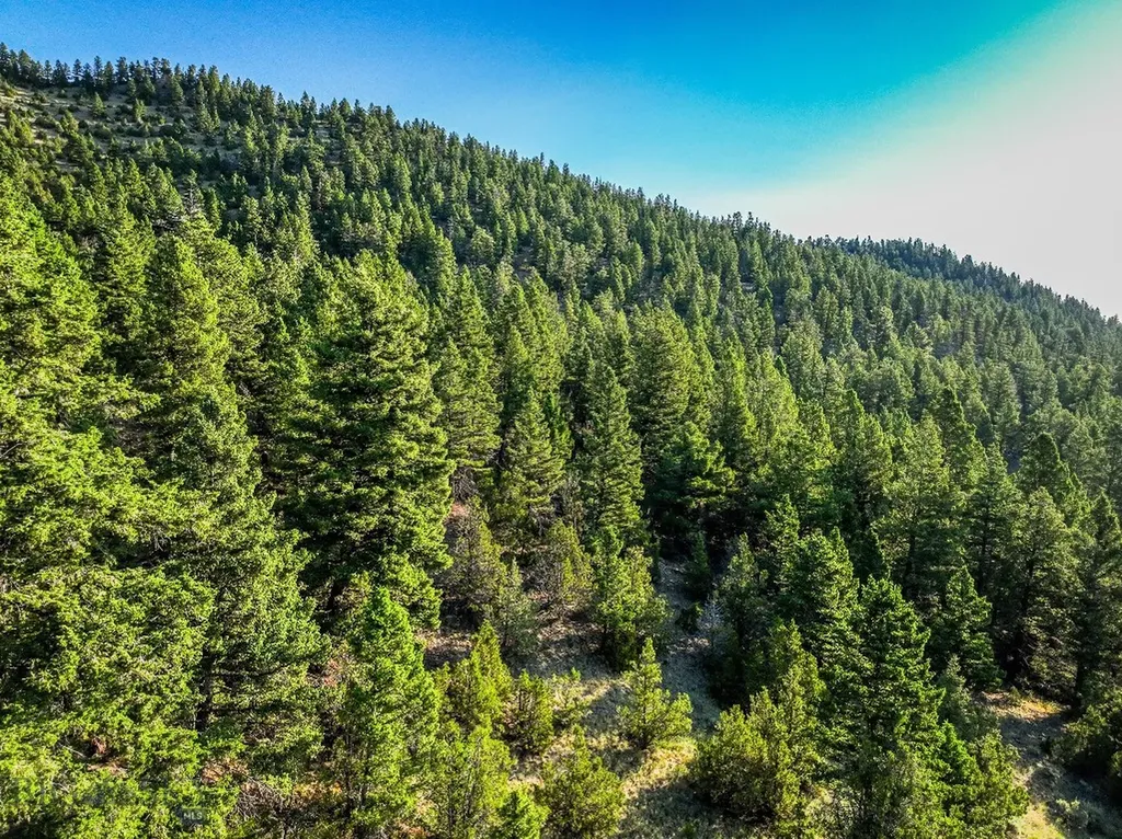 Nhn Quintana Lane Boulder MT 59632