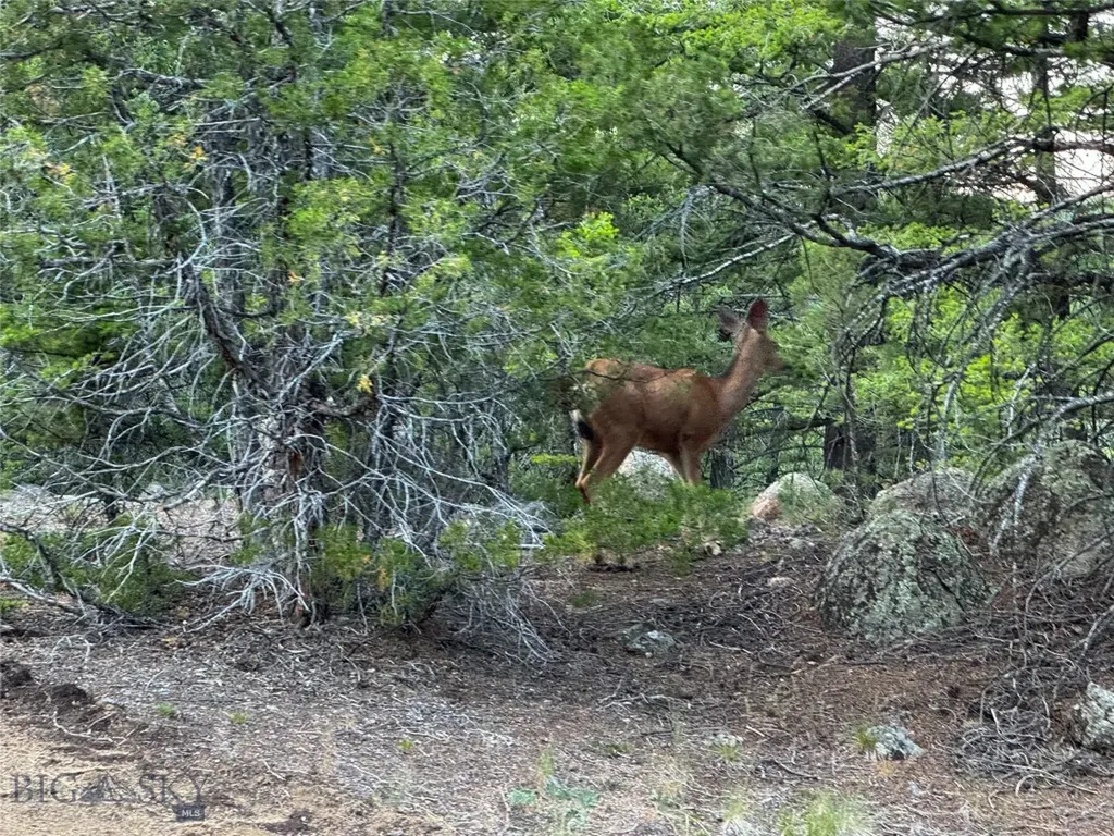 Nhn Quintana Lane Boulder MT 59632