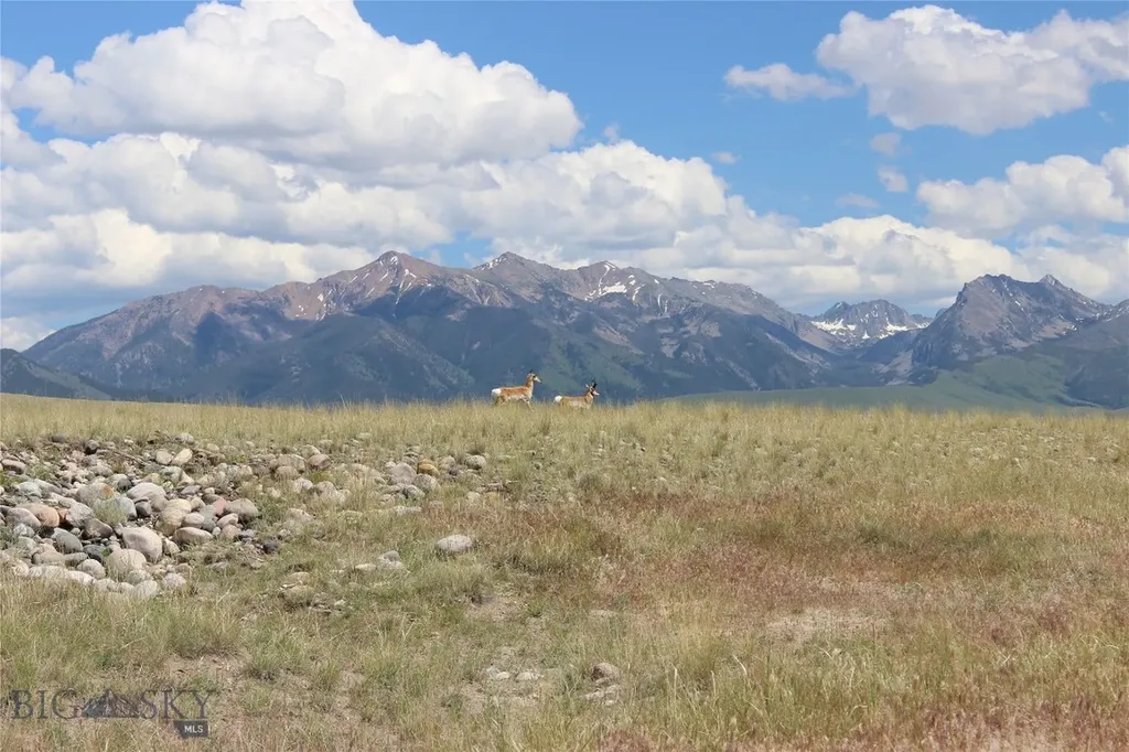 Lot 70 Sphinx Mountain Sub Cameron MT 59720