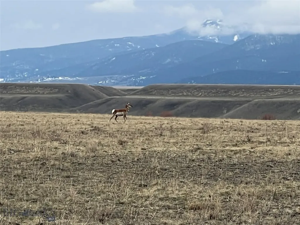 Lot 70 Sphinx Mountain Sub Cameron MT 59720