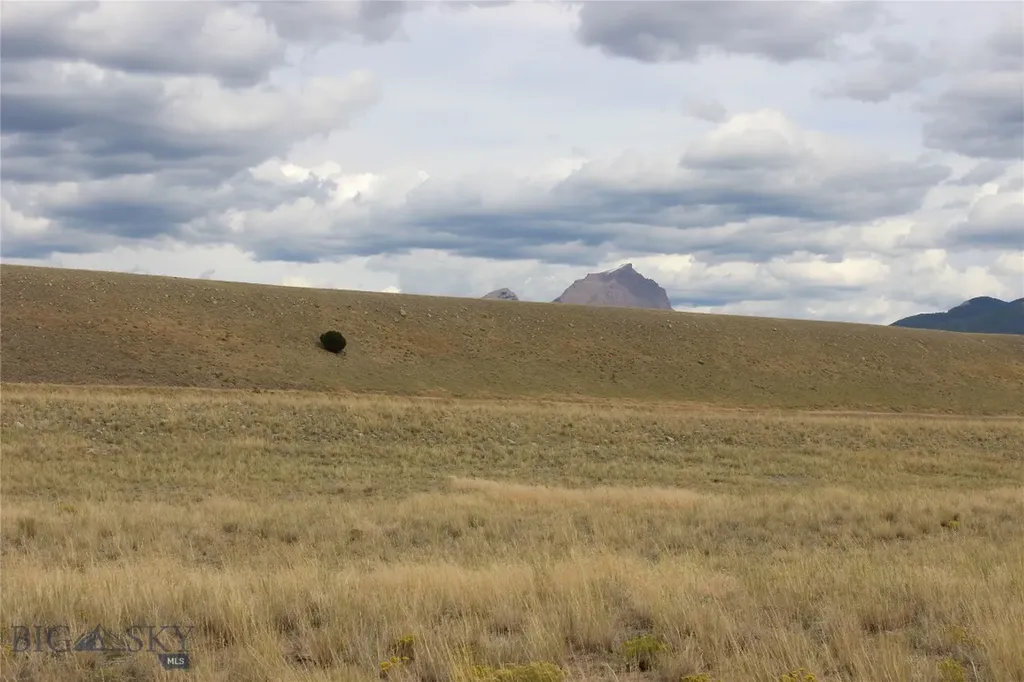 Lot 70 Sphinx Mountain Sub Cameron MT 59720