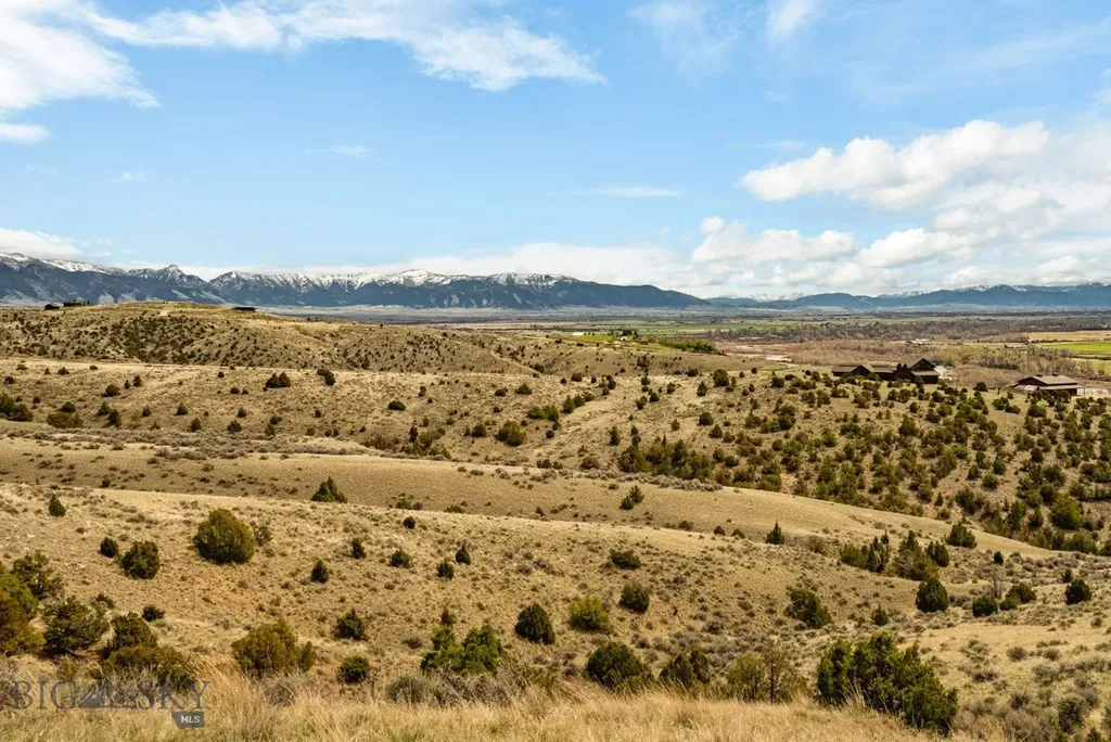 100 Saddle Ridge Manhattan MT 59741