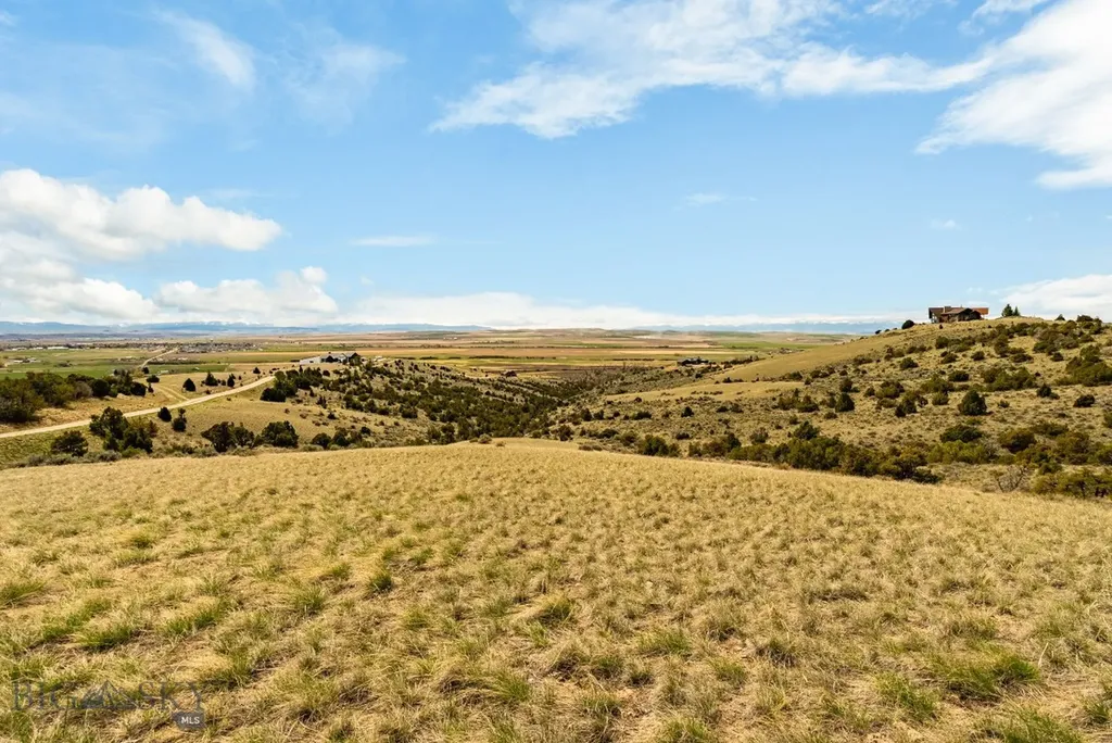 100 Saddle Ridge Manhattan MT 59741