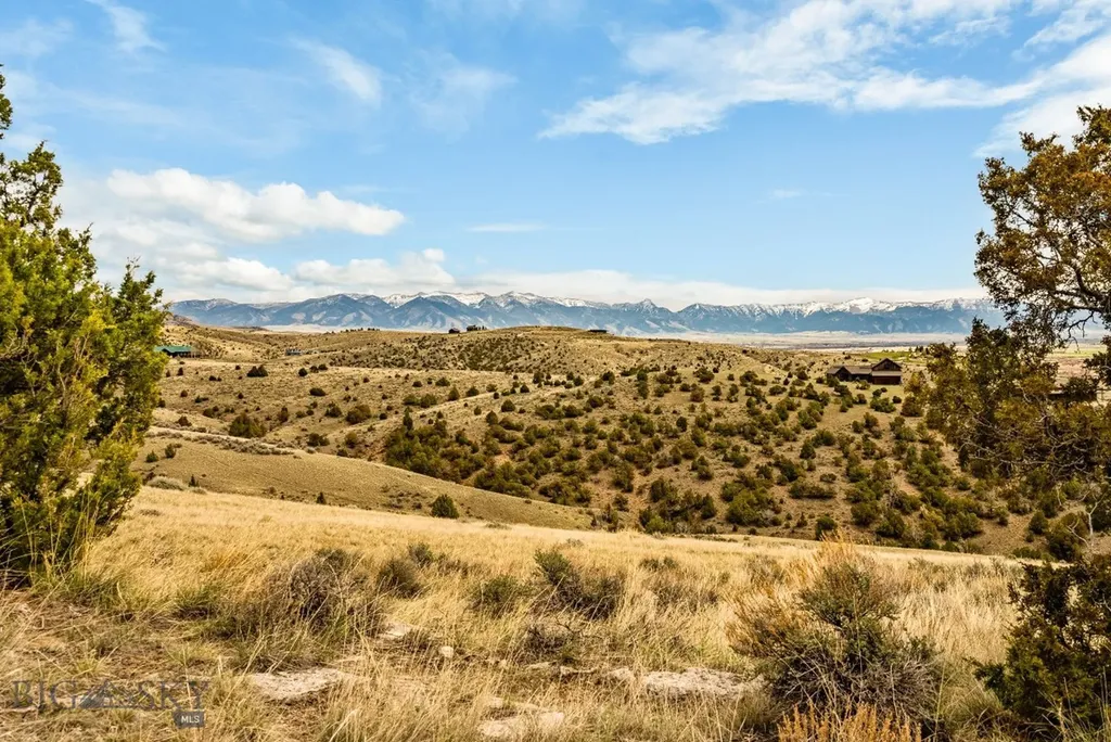 100 Saddle Ridge Manhattan MT 59741